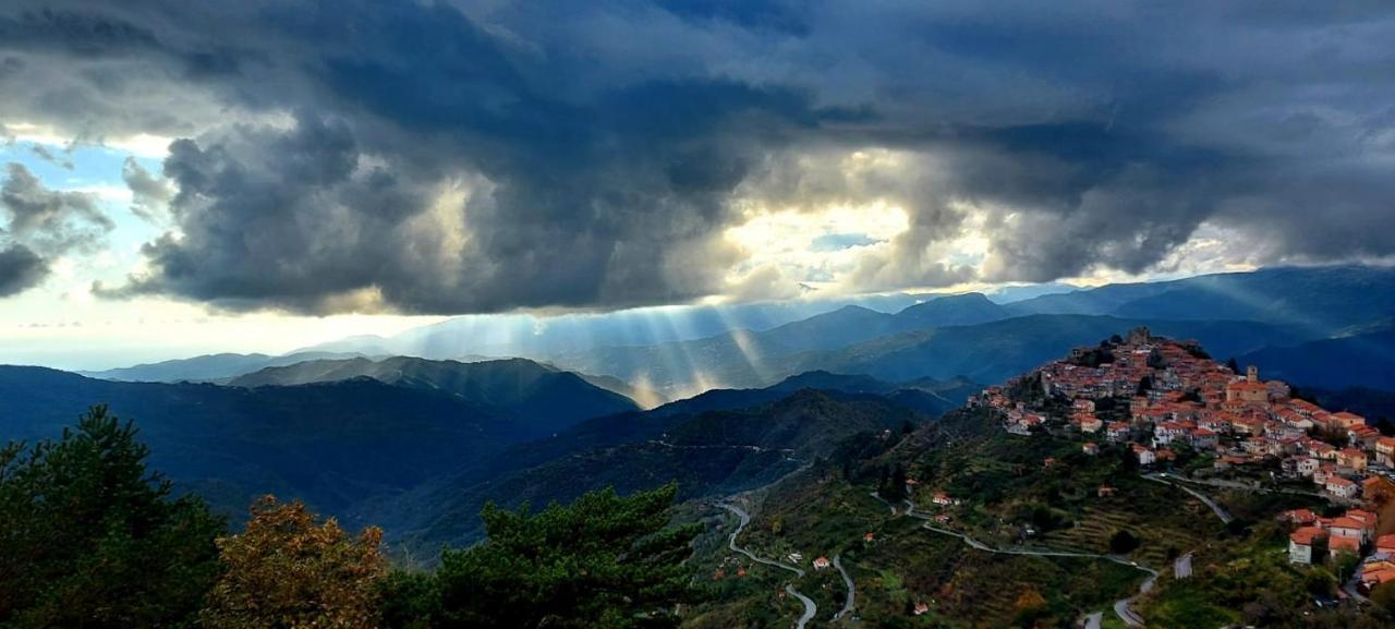 B&B Le Camelie Del Bosco Baiardo ภายนอก รูปภาพ