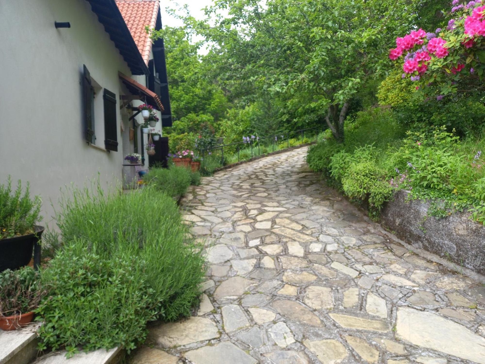 B&B Le Camelie Del Bosco Baiardo ภายนอก รูปภาพ