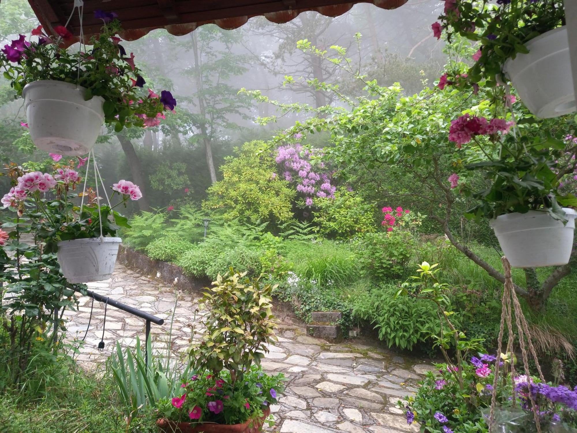 B&B Le Camelie Del Bosco Baiardo ภายนอก รูปภาพ