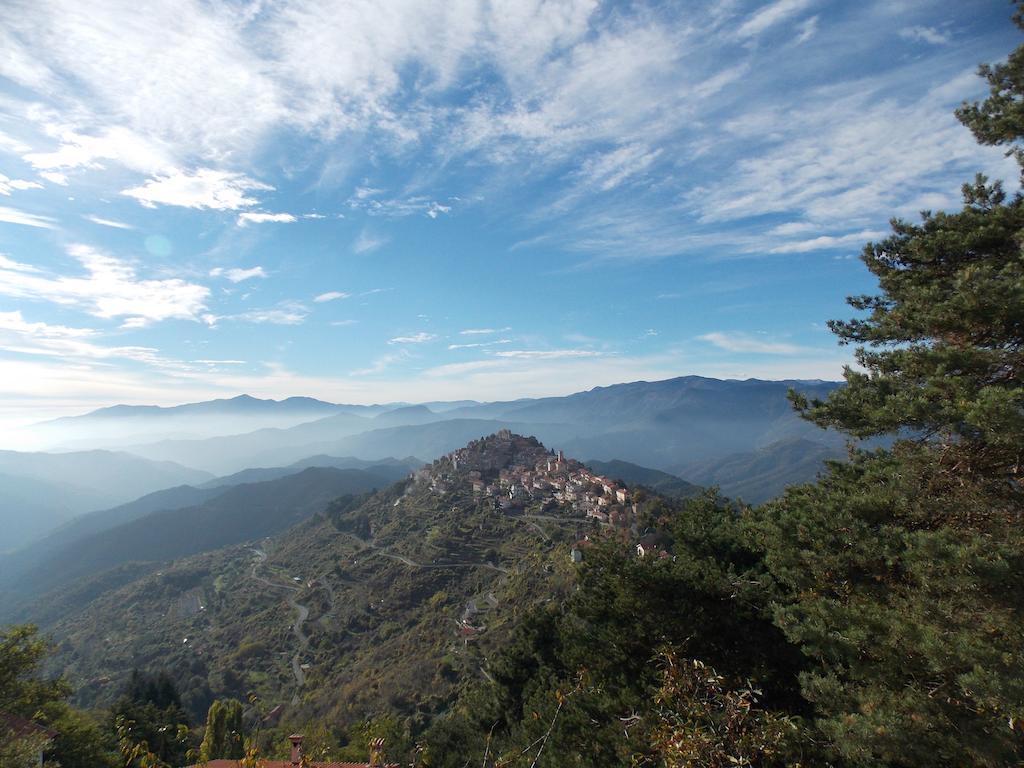 B&B Le Camelie Del Bosco Baiardo ภายนอก รูปภาพ
