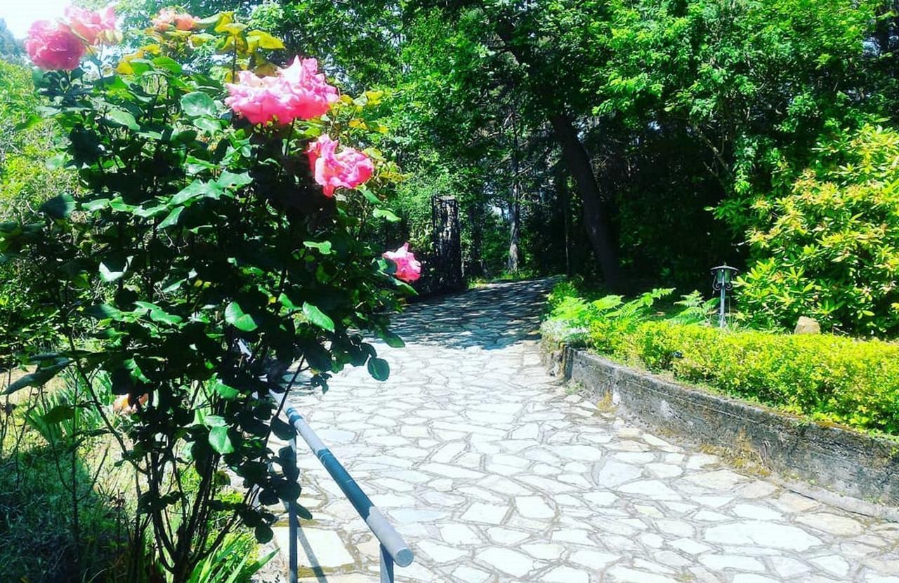B&B Le Camelie Del Bosco Baiardo ภายนอก รูปภาพ