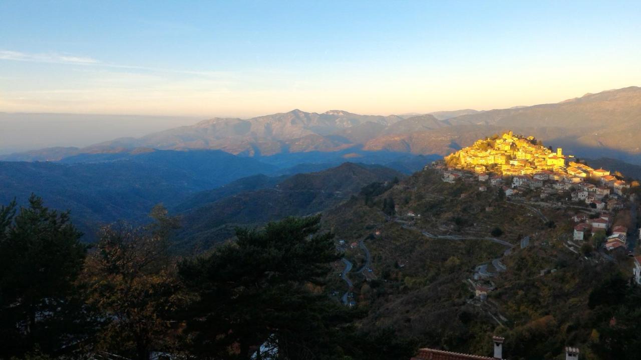B&B Le Camelie Del Bosco Baiardo ภายนอก รูปภาพ
