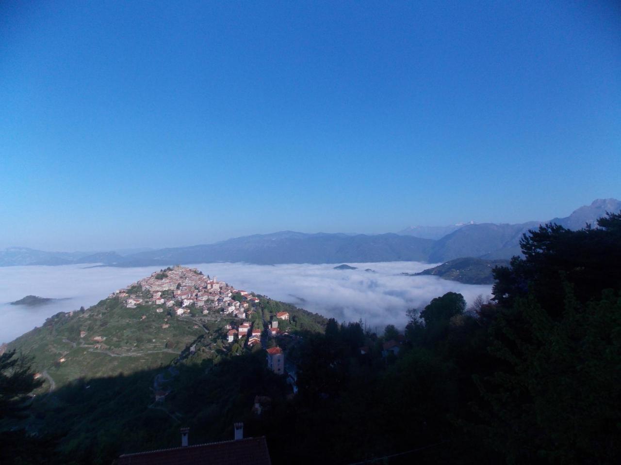 B&B Le Camelie Del Bosco Baiardo ภายนอก รูปภาพ